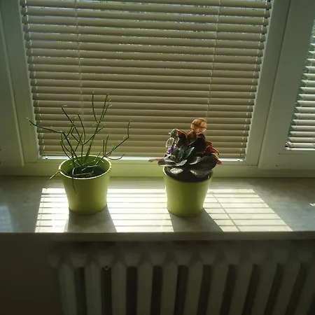Studio Green Apartment *